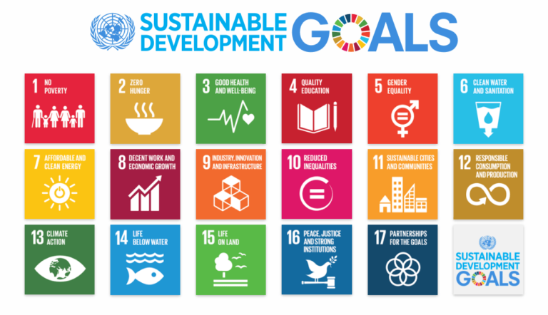 What are the 17 SDGs?